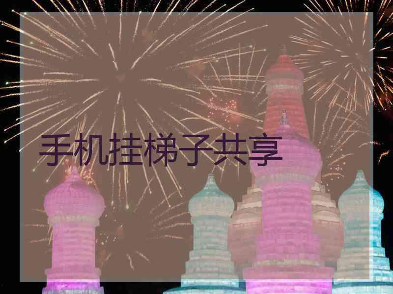手机挂梯子共享